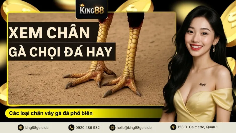 Các loại chân vảy gà đá phổ biến