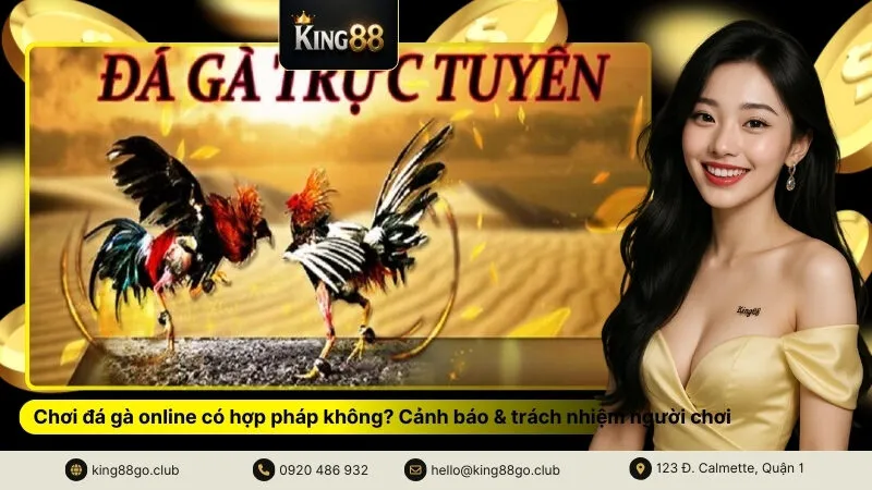 Chơi đá gà online có hợp pháp không Cảnh báo & trách nhiệm người chơi