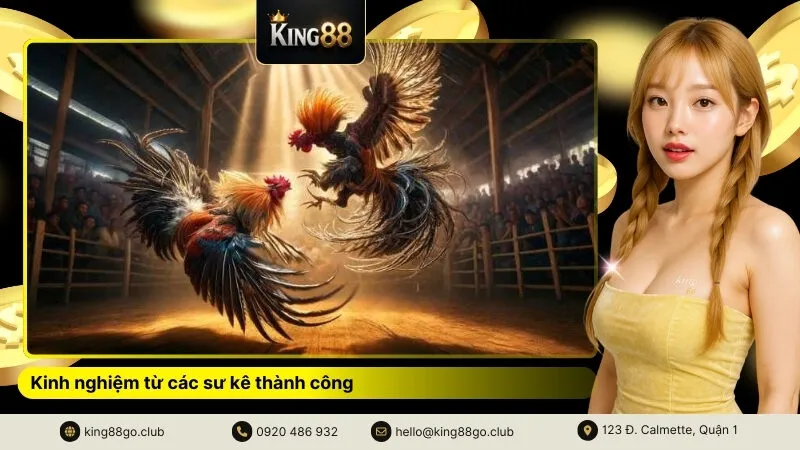 Kinh nghiệm từ các sư kê thành công