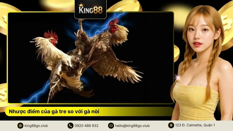 Nhược điểm của gà tre so với gà nòi