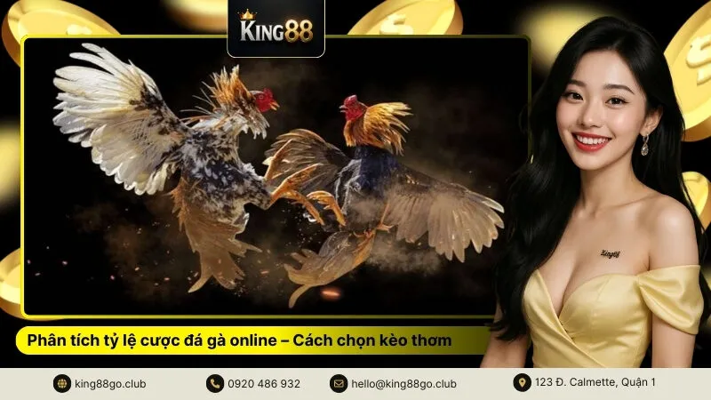 Phân tích tỷ lệ cược đá gà online – Cách chọn kèo thơm