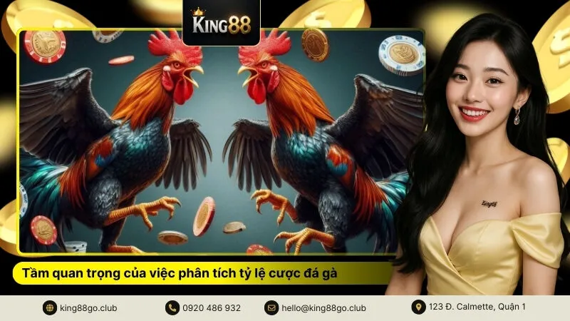 Tầm quan trọng của việc phân tích tỷ lệ cược đá gà