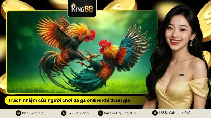 Trách nhiệm của người chơi đá gà online khi tham gia 